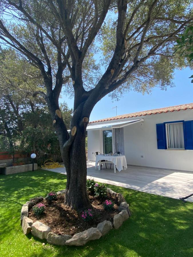 فيلا La Casa Sull'Acqua أولبيا المظهر الخارجي الصورة