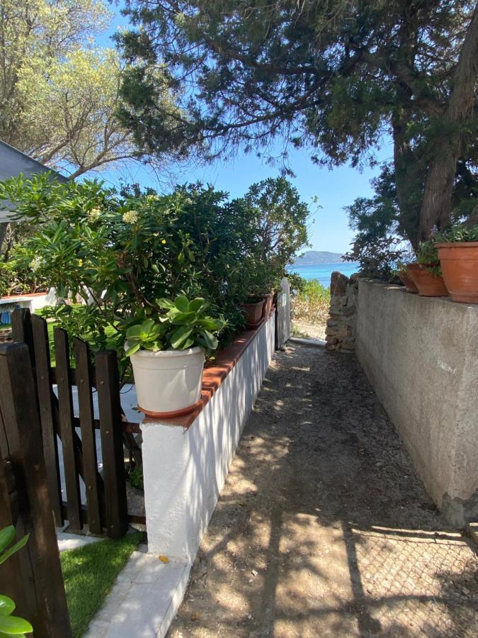 فيلا La Casa Sull'Acqua أولبيا المظهر الخارجي الصورة